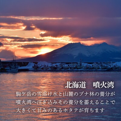 噴火湾産 ホタテ玉冷大(1kg)<斉藤水産> AM062