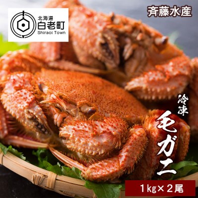 大サイズ!冷凍毛がに約1kg×2尾【斉藤水産】 AM080