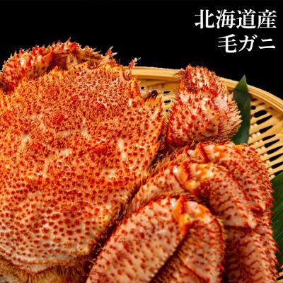 大サイズ!冷凍毛がに約1kg×2尾【斉藤水産】 AM080