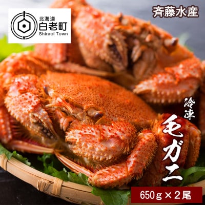 大サイズ!冷凍毛がに約650g×2尾【斉藤水産】 AM081
