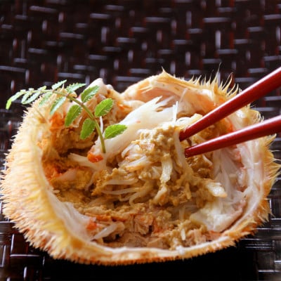 大サイズ!冷凍毛がに約800g×2尾【斉藤水産】 AM082