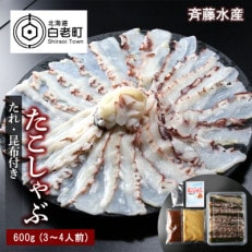 たこしゃぶ約600g(3～4人前)タレ・昆布付き【斉藤水産】 AM016