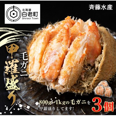 毛ガニ 甲羅盛り 3個<斉藤水産> AM071