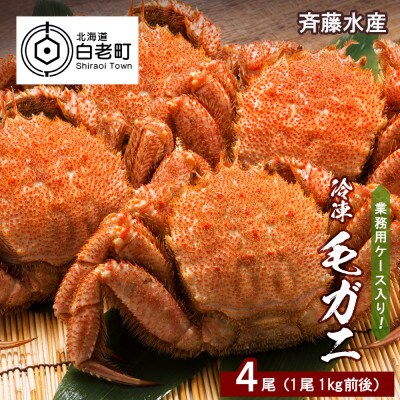 業務用ケース入り!冷凍毛がに 大サイズ 4尾(1尾1kg前後)<斉藤水産> AM027
