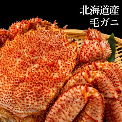 業務用ケース入り!冷凍毛がに 大サイズ 5尾(1尾800g前後)<斉藤水産> AM028