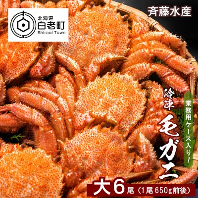 業務用ケース入り!冷凍毛がに 大サイズ6尾(1尾650g前後)<斉藤水産> AM029