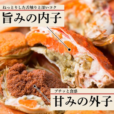 北海道産 生大ズワイガニ メス 1kg (加熱用) 〈斉藤水産〉AM091
