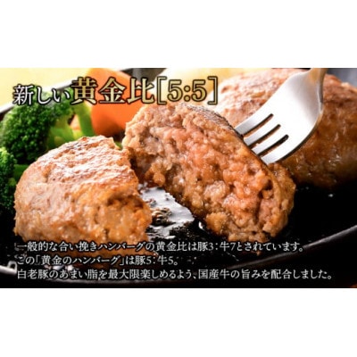 国産100%白老合挽ハンバーグ 150g×24