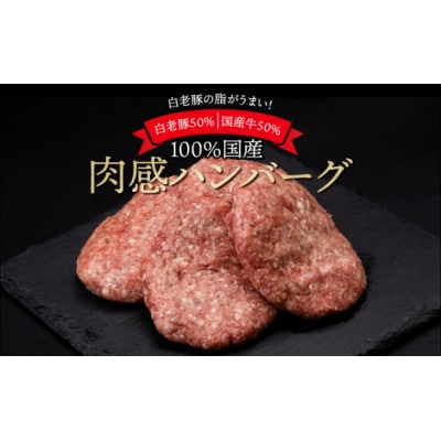 国産100%白老合挽ハンバーグ 150g×24