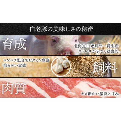 北海道産 白老豚 肩ロース スライス 500g×3パック