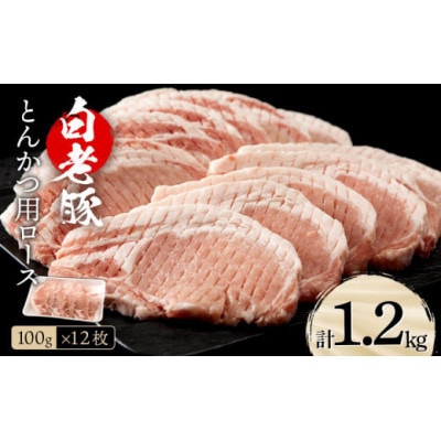 北海道産 白老豚 ロース とんかつ用 100g×12枚