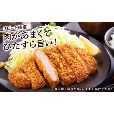 北海道産 白老豚 ロース とんかつ用 100g×12枚