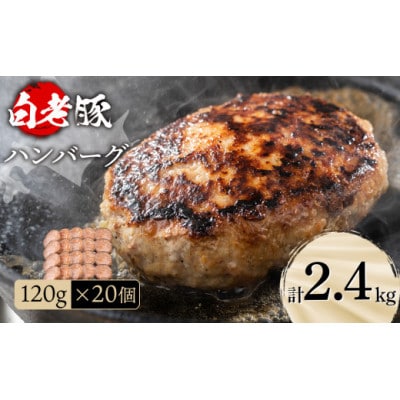北海道産 白老豚ハンバーグ 120g×20個セット