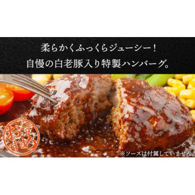 北海道産 白老豚ハンバーグ 120g×20個セット