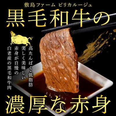 【1.2kg】白老産黒毛和牛 味付け焼肉 ピリカルージュ　400g×3p