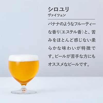 【白老町のクラフトビール】シロユリ　計24本《The Old Grey Brewery》