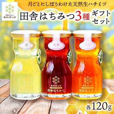 数量限定【生ハチミツ3種】月ごとに楽しむ田舎はちみつ 無添加非加熱ギフトセット