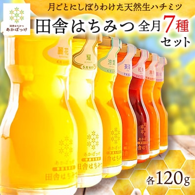 『プレミアム全7種』月毎に楽しむ田舎はちみつ　全7ヶ月7本セット