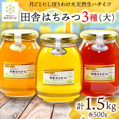 【生ハチミツ3種(大)】　月ごとに楽しむ田舎はちみつ　無添加非加熱天然蜂蜜セット