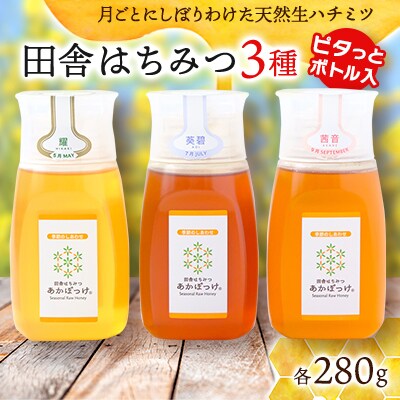 【生ハチミツ3種類　専用ボトル入】月ごとに楽しむ田舎はちみつ　280g3本セット