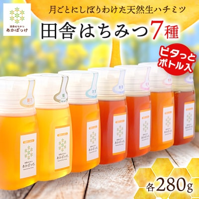 【生ハチミツ全7種類　専用ボトル入り】月ごとに楽しむ田舎はちみつ　280g7本セット