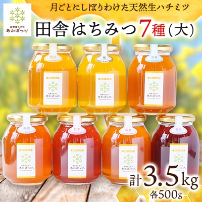 500gを7種7本セット【生ハチミツ】月ごとに楽しむ田舎はちみつ