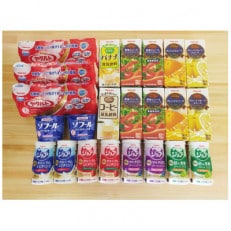 ヤクルト製品セットA | ふるさと納税のお礼品