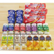 ヤクルト製品セットB | ふるさと納税のお礼品