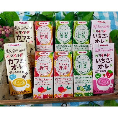 【ヤクルト本社茨城工場】ヤクルト健康家族セット