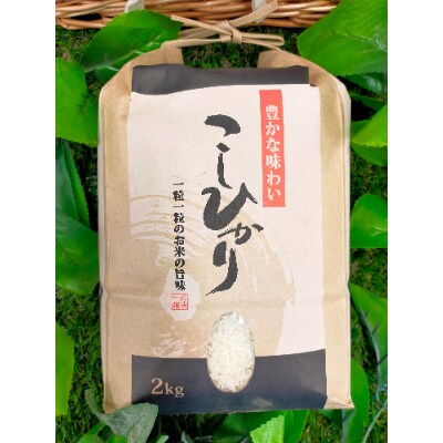 ごかを食べよう!セット2(米・農産物・マヨネーズ・ドレッシング)