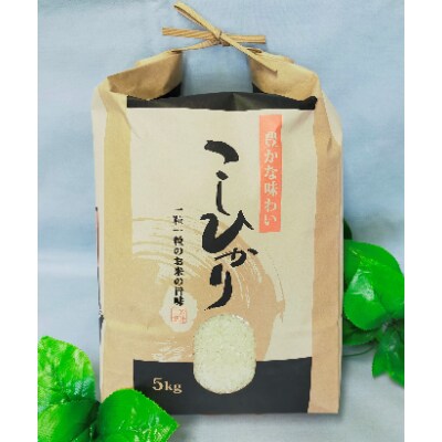 ごかを食べよう!セット6(精米5kg、農産物おまかせ4種類程度)