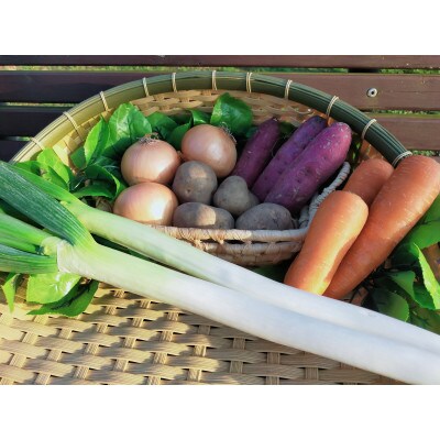 ごかを食べよう!セット6(精米5kg、農産物おまかせ4種類程度)