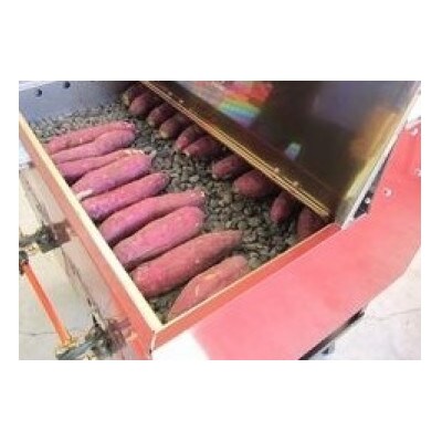 【道の駅ごか】さつまいもざんまい1(冷凍やきいも・さつまいもジェラート)