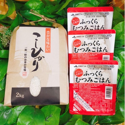 ごかを食べよう!セット14(パックごはん・コシヒカリ)