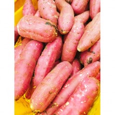 五霞町産さつま芋(紅はるか)　1.6kg