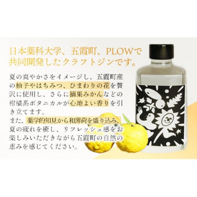 【クラフトジン】HANABI Gin 500ml