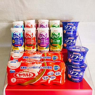 【2ヵ月毎定期便】【キユーピー五霞工場・ヤクルト本社茨城工場】五霞町セット2全3回