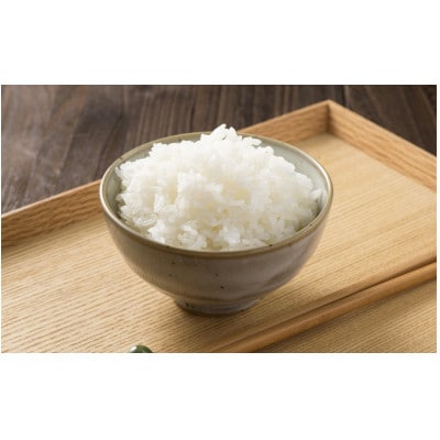 令和6年茨城県産コシヒカリ10kg(精米)