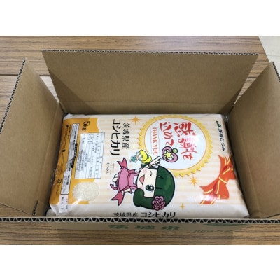 茨城県産コシヒカリ10kg(5kg×2) 精米