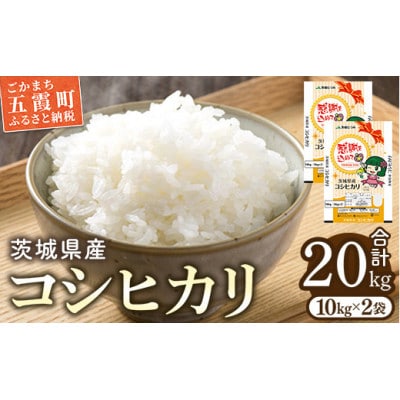 茨城県産コシヒカリ20kg(10kg×2) 精米