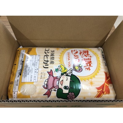 茨城県産コシヒカリ20kg(10kg×2) 精米