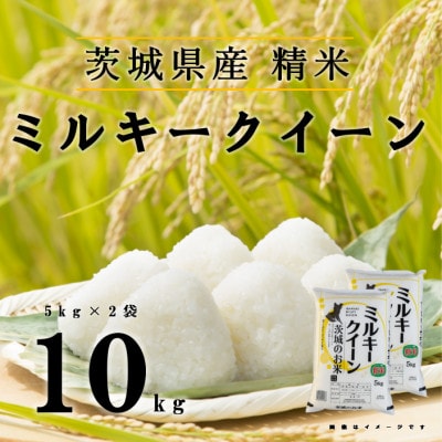 【令和7年産】ミルキークイーン 精米 10kg(5kg×2袋)茨城のおいしいお米