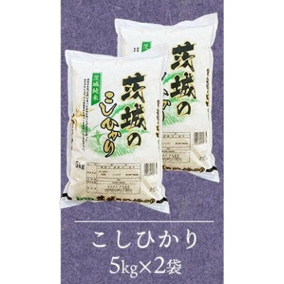 【令和8年産】コシヒカリ 精米 10kg(5kg×2袋)茨城のおいしいお米 | ふるさと納税のお礼品