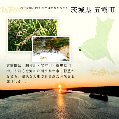 【令和8年産】コシヒカリ 精米 10kg(5kg×2袋)茨城のおいしいお米