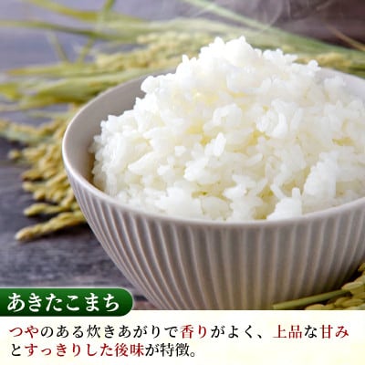 【令和8年産】あきたこまち 精米 10kg(5kg×2袋)茨城のおいしいお米