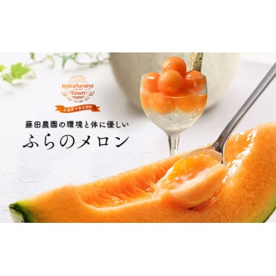 AO-004【2026年発送】藤田農園ふらのメロン(赤肉)2玉