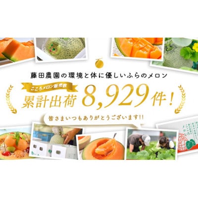 AO-004【2026年発送】藤田農園ふらのメロン(赤肉)2玉