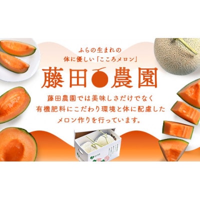 AO-004【2026年発送】藤田農園ふらのメロン(赤肉)2玉