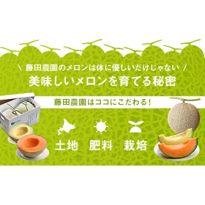 AO-004【2026年発送】藤田農園ふらのメロン(赤肉)2玉