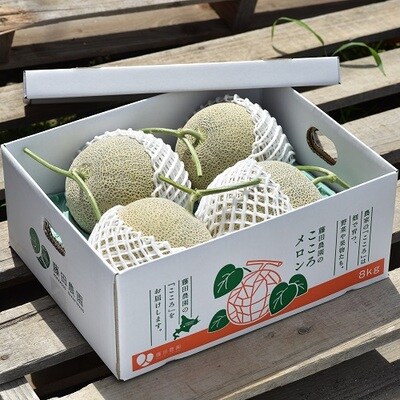 AO-012【2025年発送】中富良野町産　よくばりセット(赤肉&青肉メロン)8kg以上